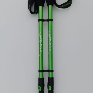 Kijki Fern - zielony jasny